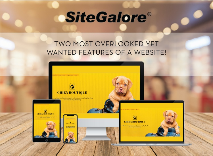 Two most overlooked yet Wanted Features of a Website!