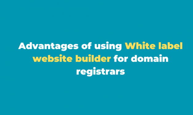 Advantages of using White label website builder for domain registrars