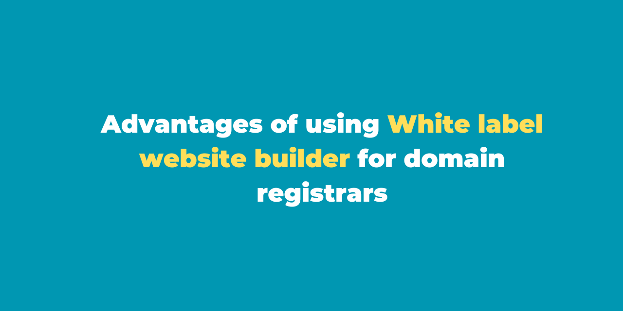 Advantages of using White label website builder for domain registrars