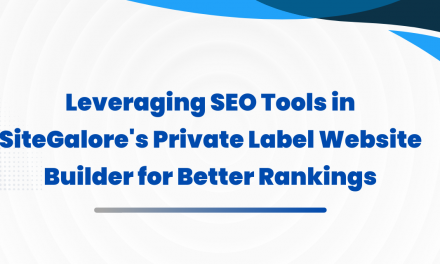 Leveraging SEO Tools in SiteGalore’s Private Label Website Builder for Better Rankings